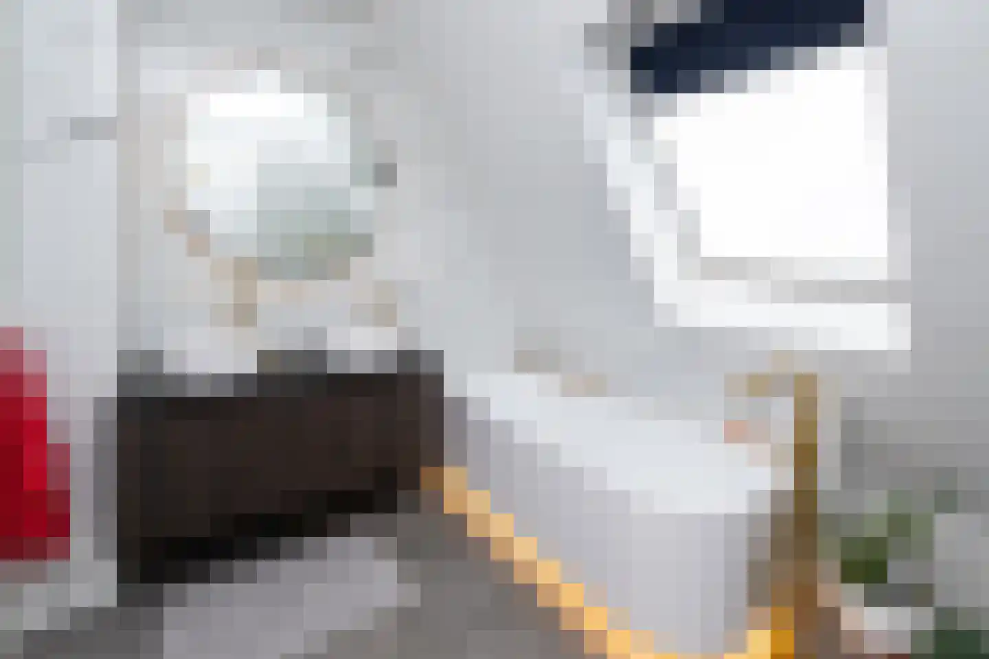 De Esch 33 Gramsbergen thumbnail 41