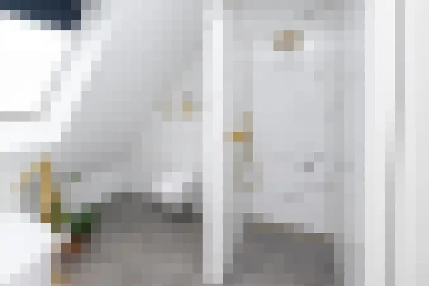 De Esch 33 Gramsbergen thumbnail 42