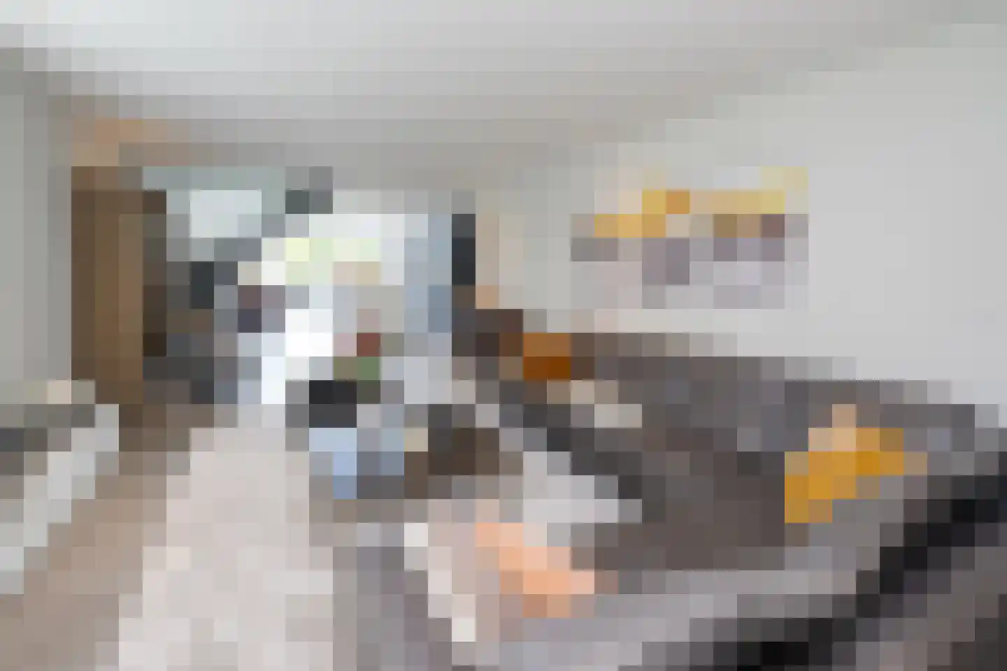 De Esch 33 Gramsbergen thumbnail 5