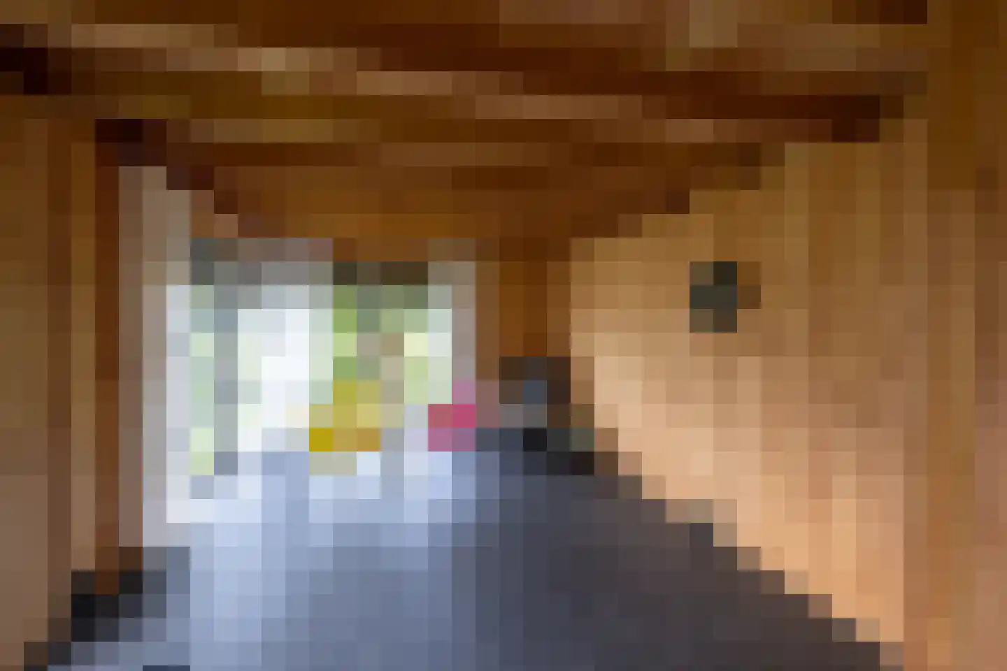 De Esch 33 Gramsbergen thumbnail 51