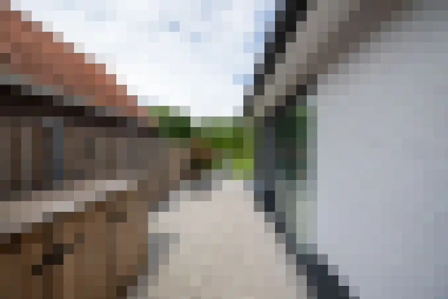 De Esch 33 Gramsbergen thumbnail 52
