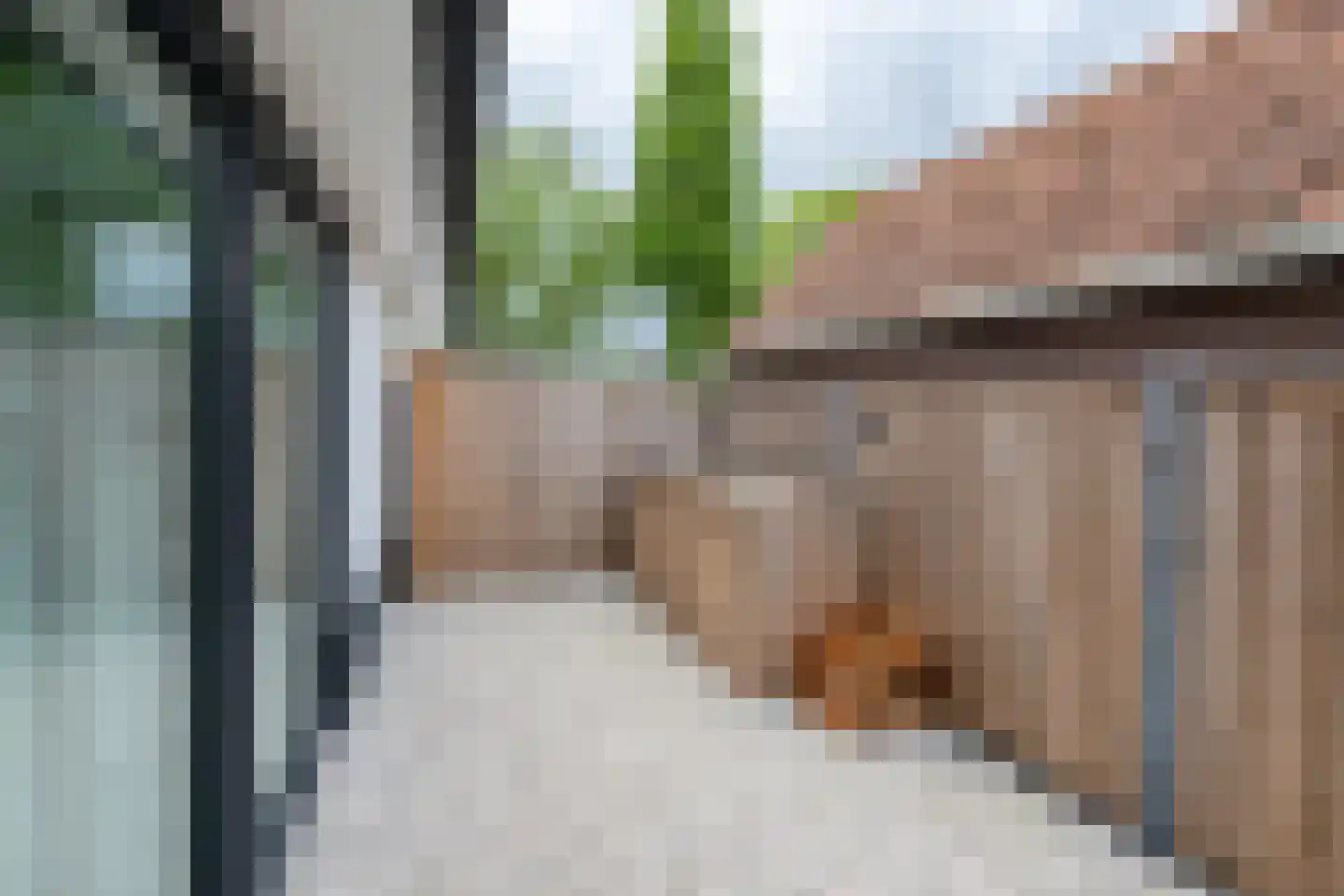 De Esch 33 Gramsbergen thumbnail 53