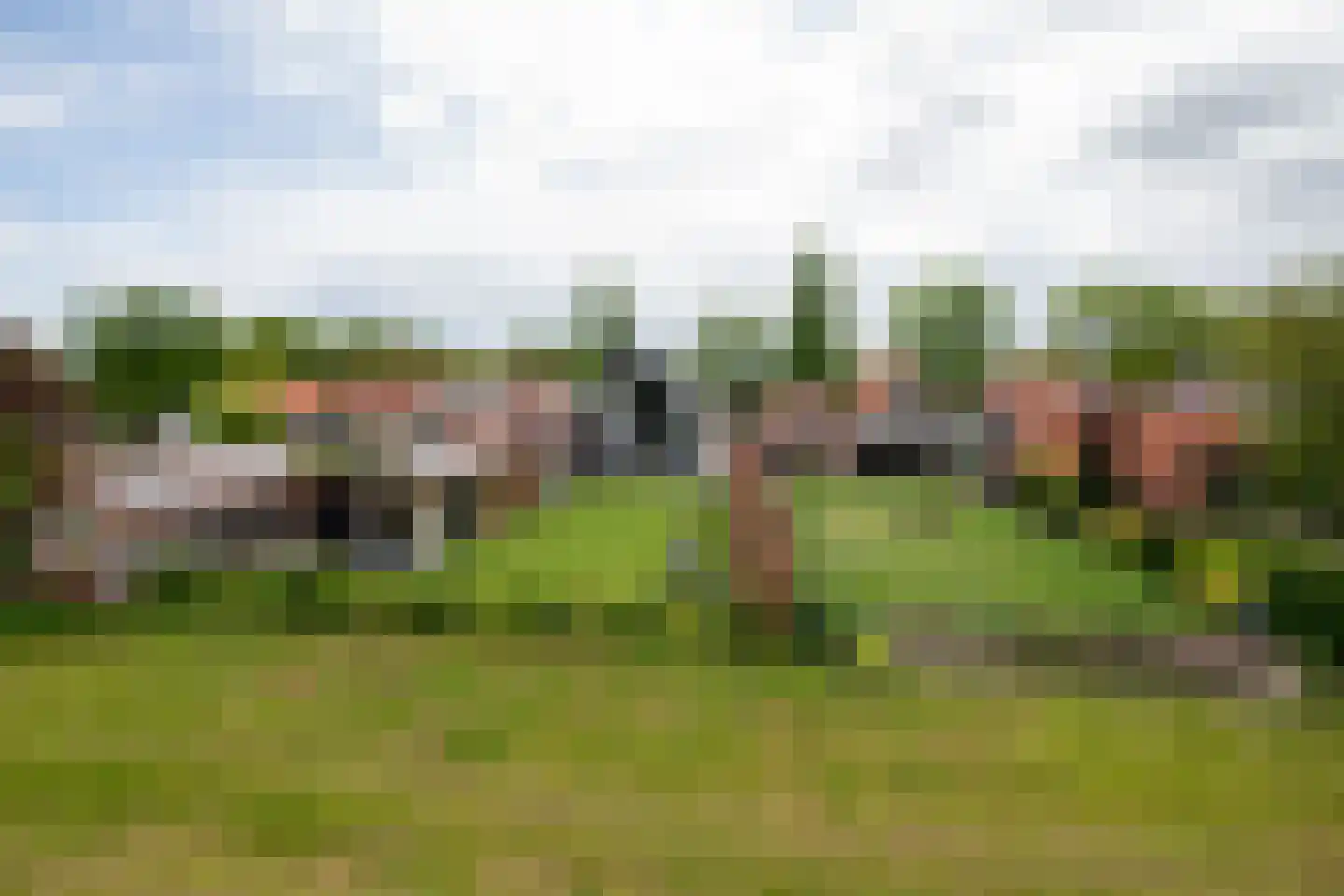 De Esch 33 Gramsbergen thumbnail 56