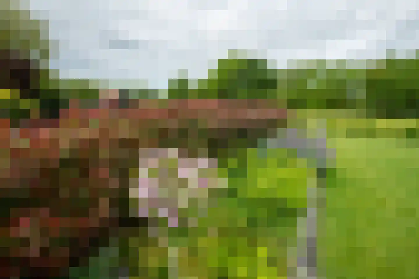 De Esch 33 Gramsbergen thumbnail 57