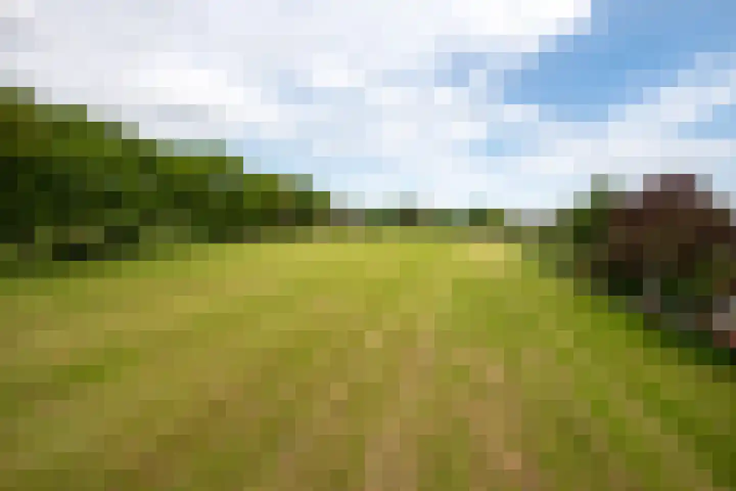 De Esch 33 Gramsbergen thumbnail 58