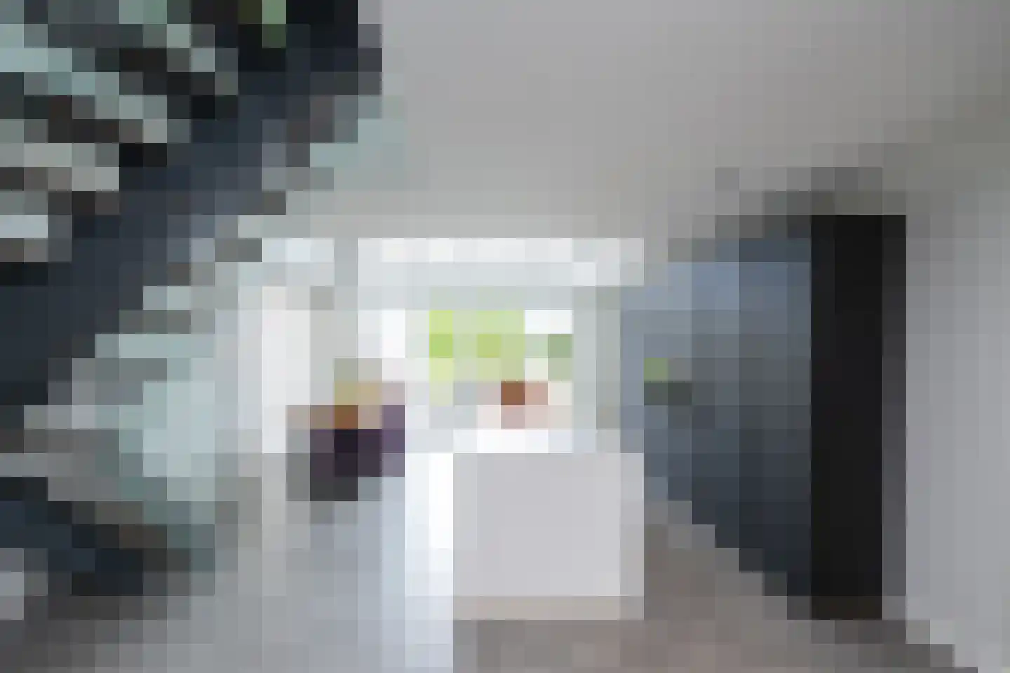 De Esch 33 Gramsbergen thumbnail 6