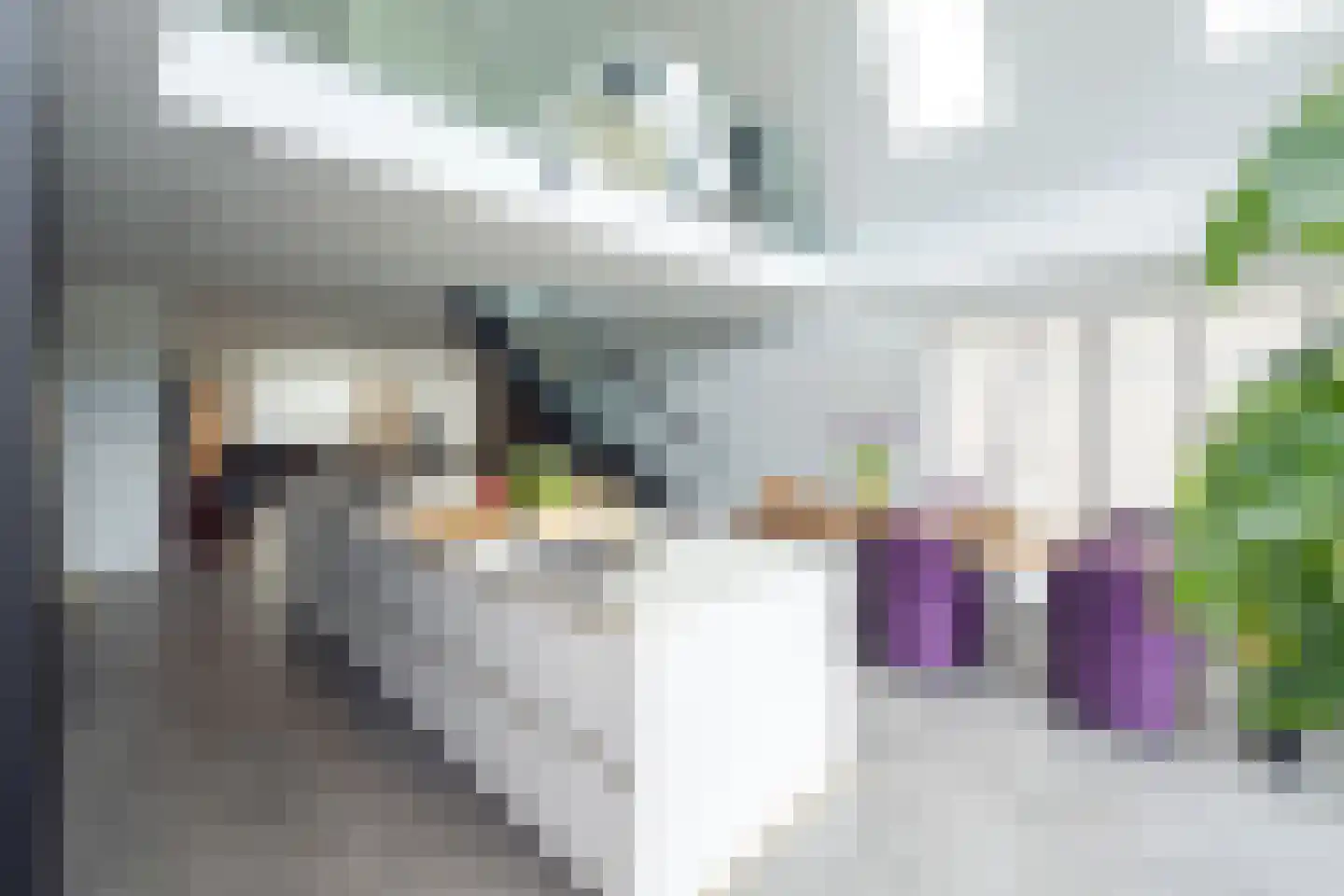 De Esch 33 Gramsbergen thumbnail 7