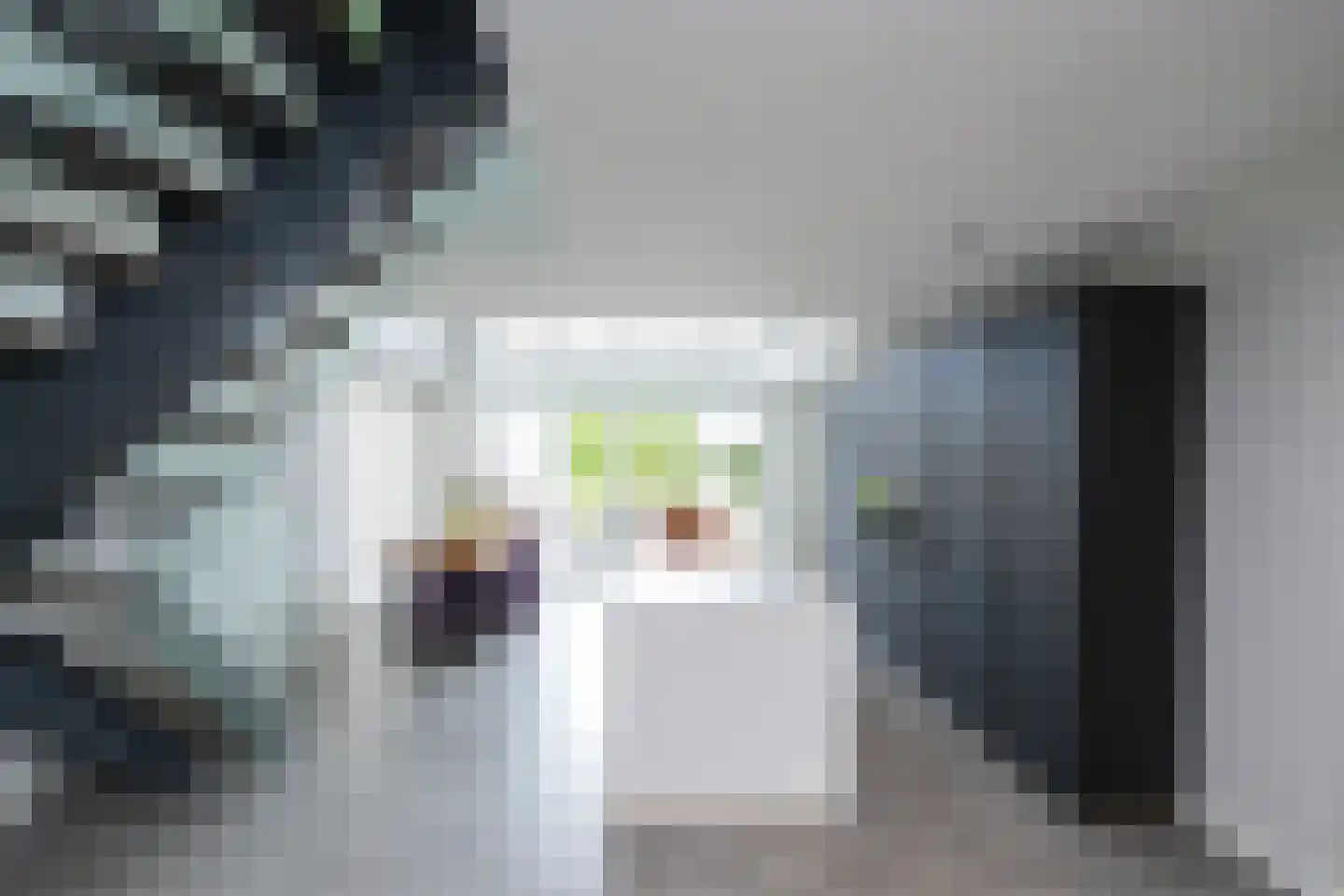 De Esch 33 Gramsbergen thumbnail 7