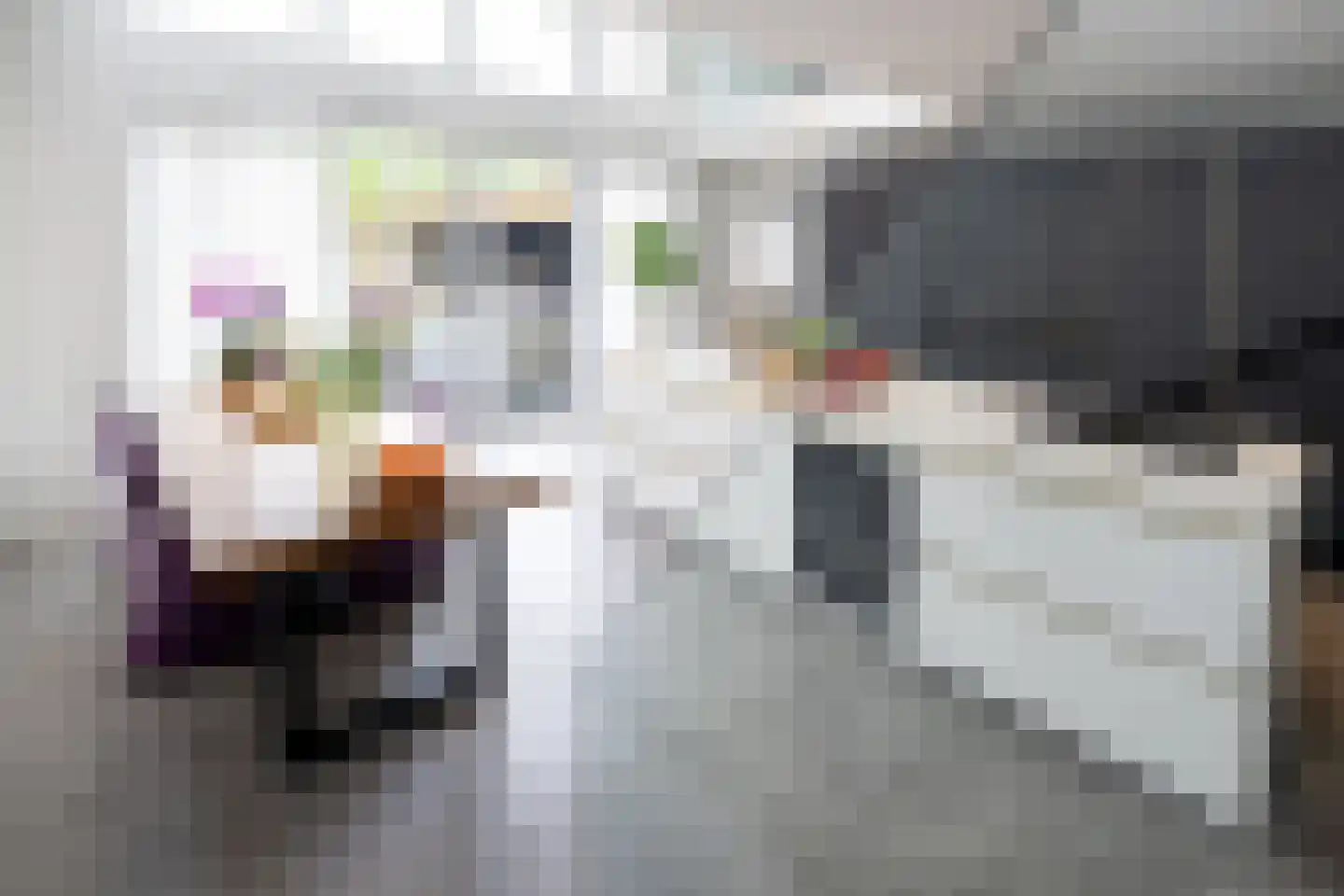 De Esch 33 Gramsbergen thumbnail 8
