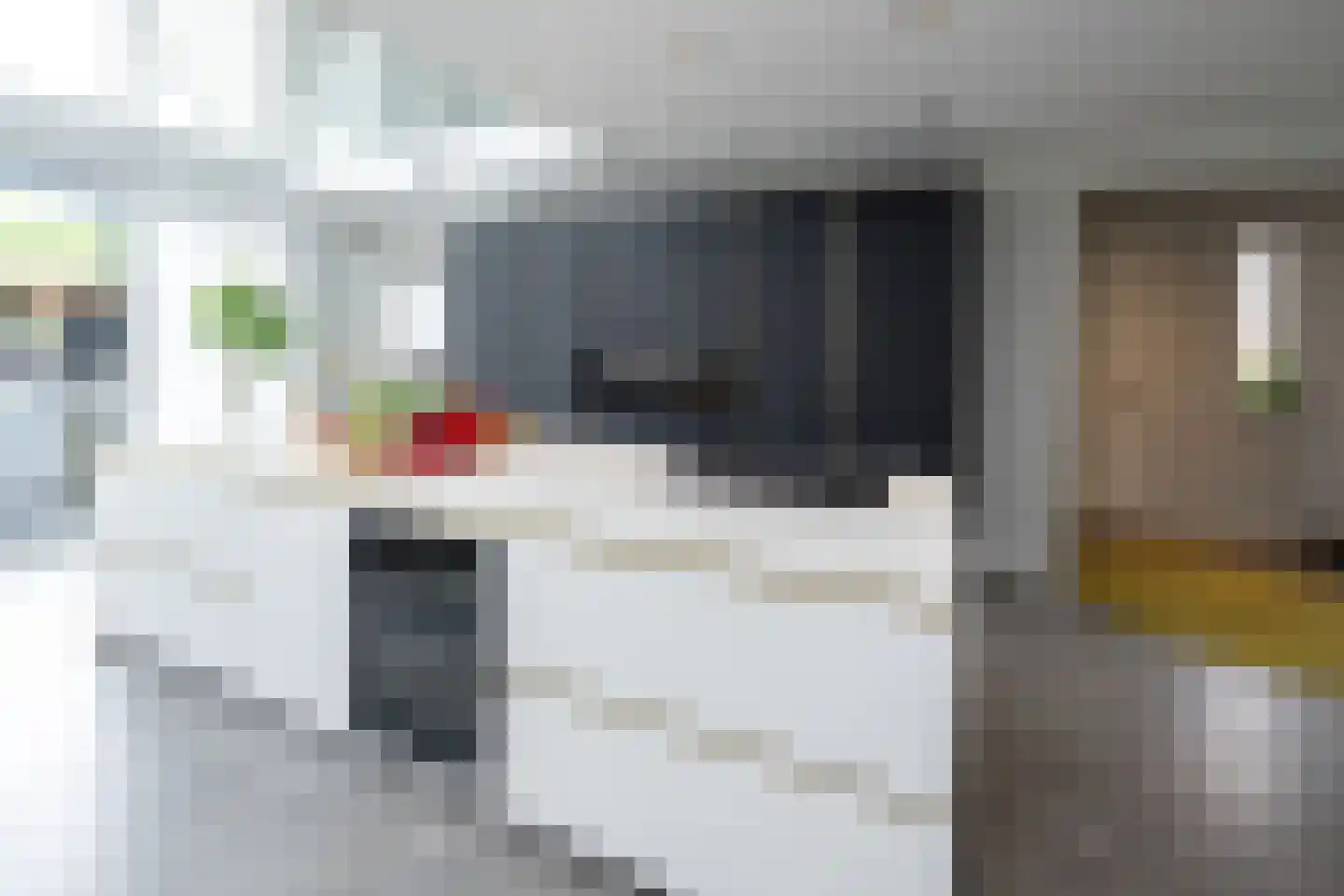 De Esch 33 Gramsbergen thumbnail 9