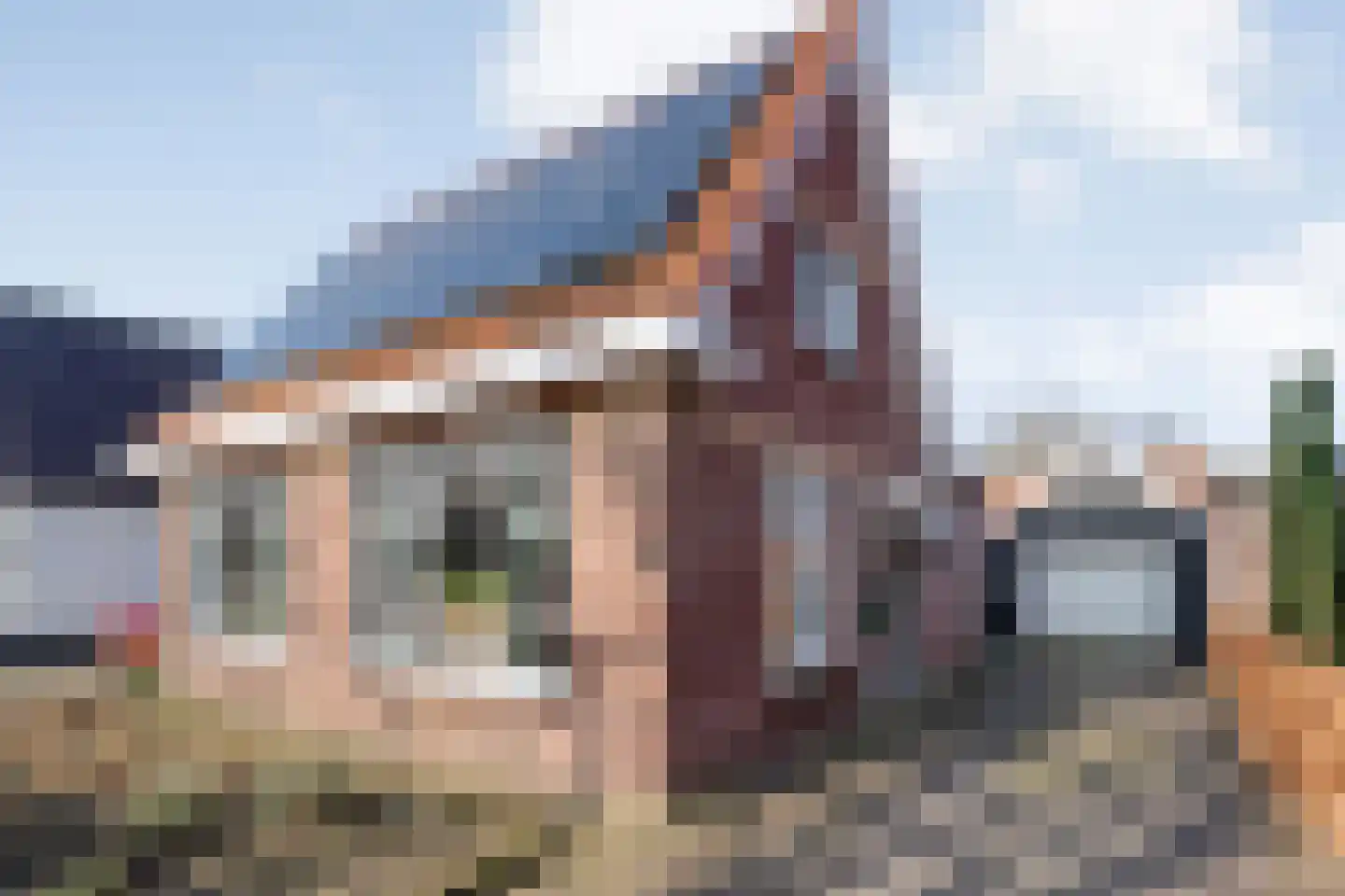 De Esch 39 Gramsbergen thumbnail 10