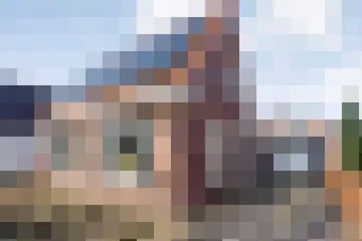 De Esch 39 Gramsbergen thumbnail 10