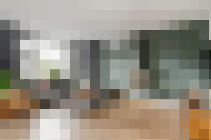 De Esch 39 Gramsbergen thumbnail 14