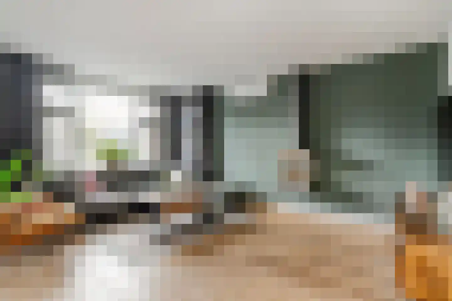 De Esch 39 Gramsbergen thumbnail 14