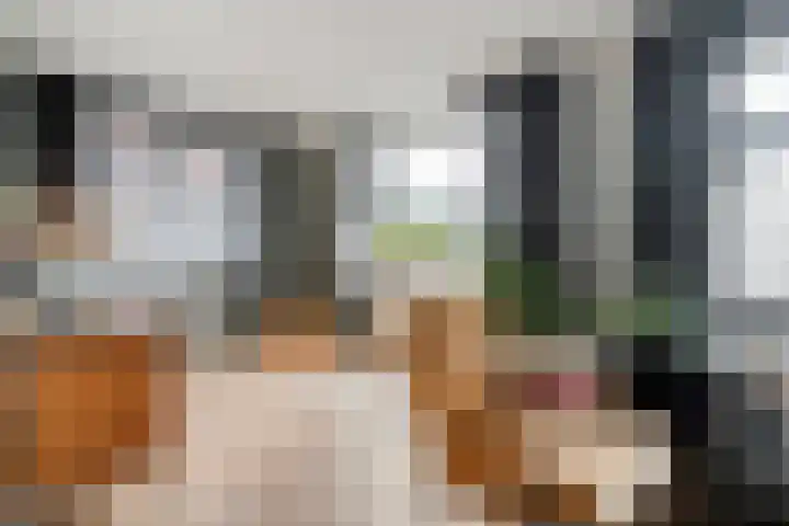 De Esch 39 Gramsbergen thumbnail 16