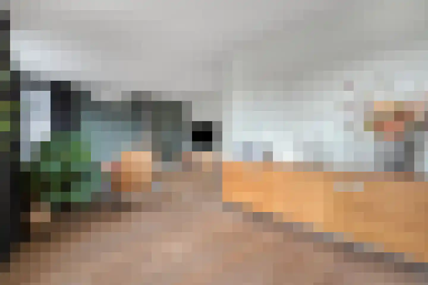 De Esch 39 Gramsbergen thumbnail 17