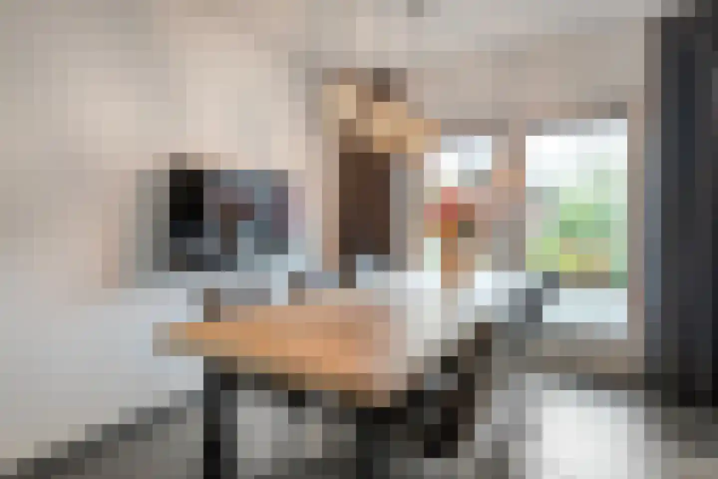 De Esch 39 Gramsbergen thumbnail 18