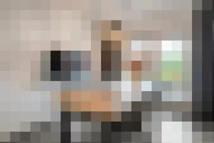 De Esch 39 Gramsbergen thumbnail 18