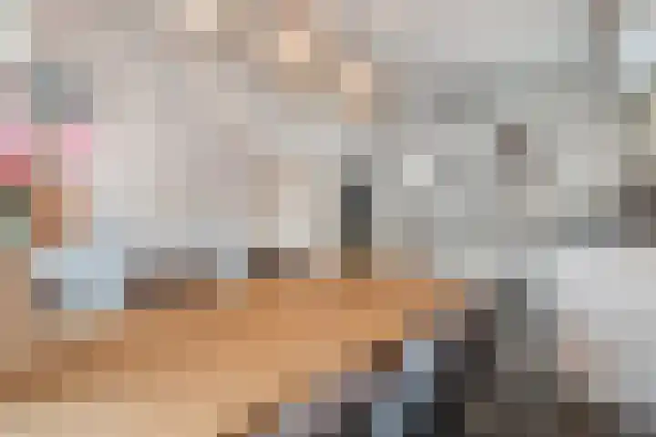 De Esch 39 Gramsbergen thumbnail 19