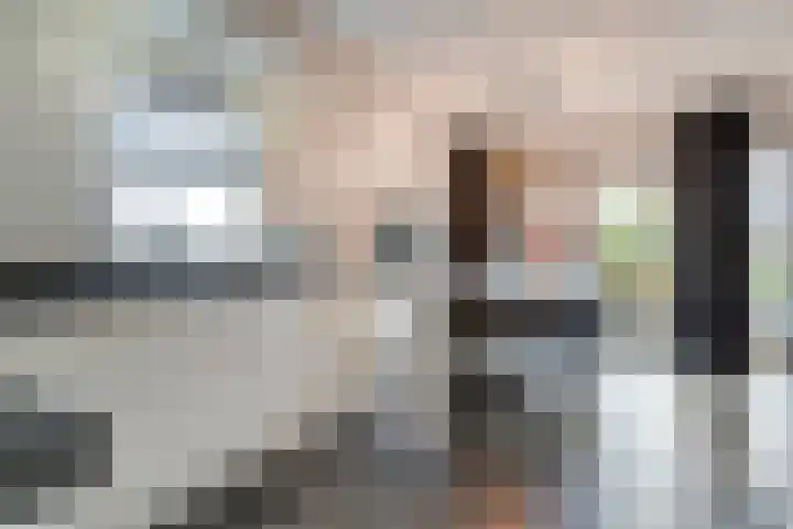 De Esch 39 Gramsbergen thumbnail 21
