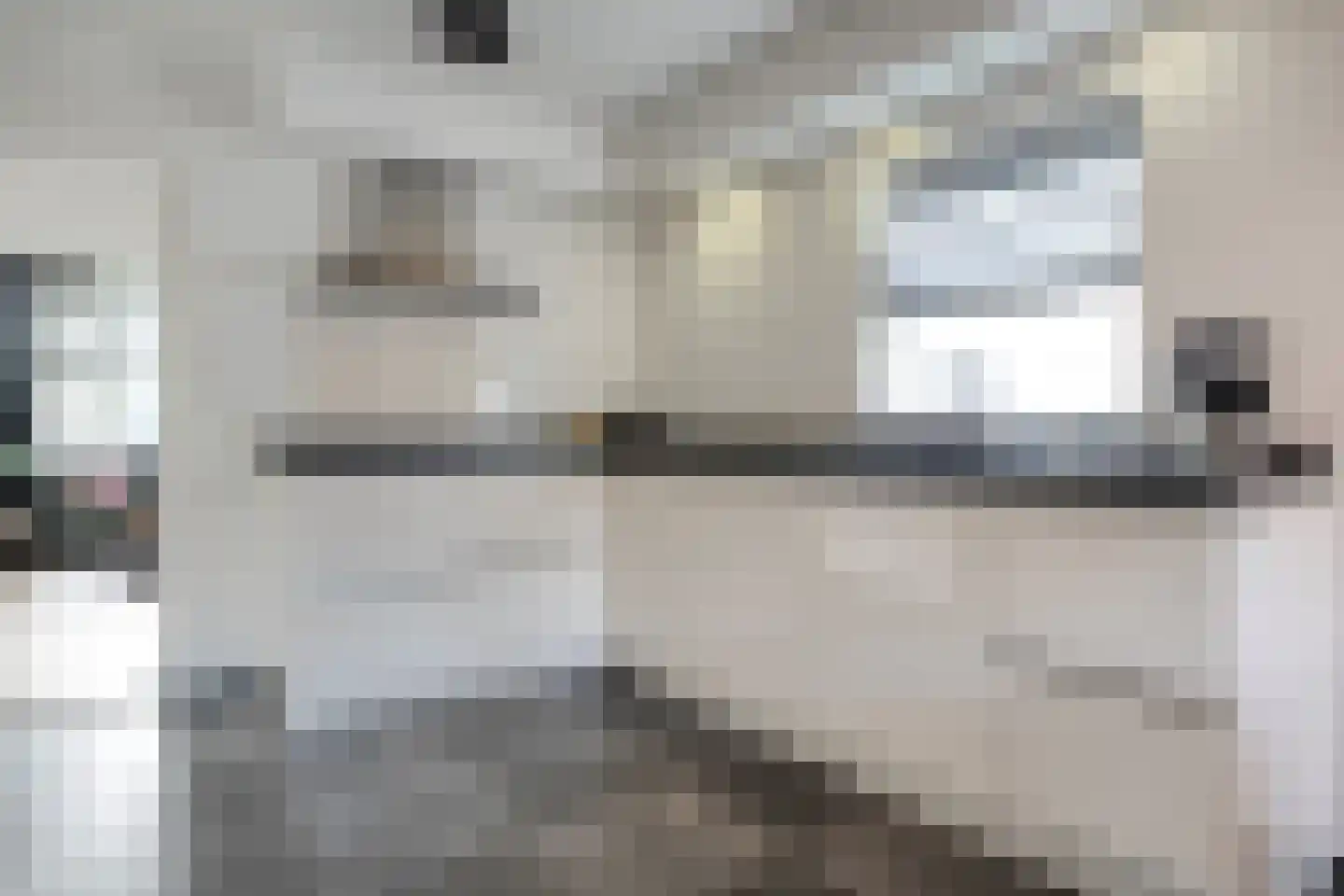 De Esch 39 Gramsbergen thumbnail 22