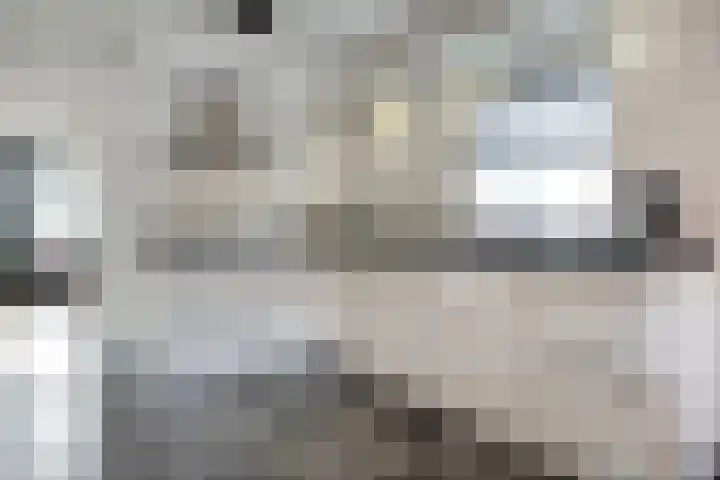 De Esch 39 Gramsbergen thumbnail 22