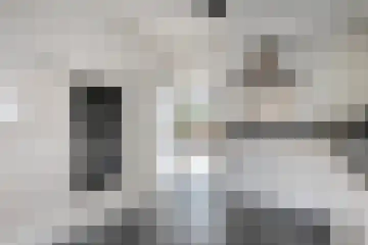 De Esch 39 Gramsbergen thumbnail 23