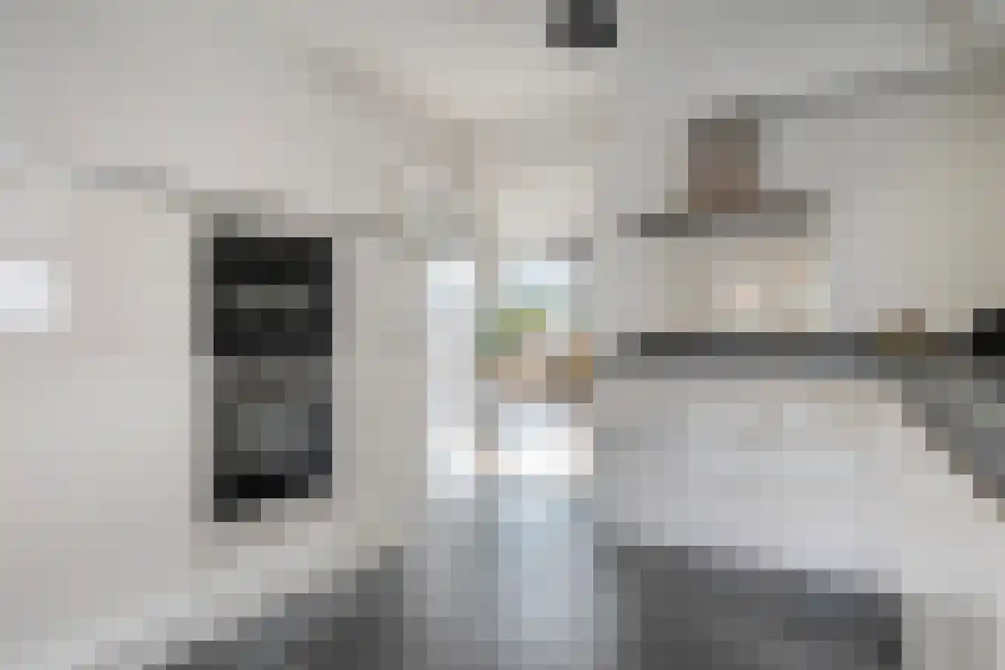 De Esch 39 Gramsbergen thumbnail 23
