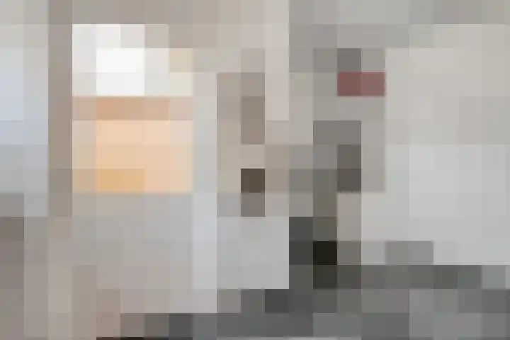 De Esch 39 Gramsbergen thumbnail 24