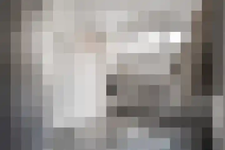 De Esch 39 Gramsbergen thumbnail 25