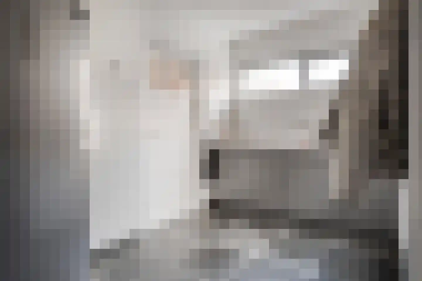 De Esch 39 Gramsbergen thumbnail 25
