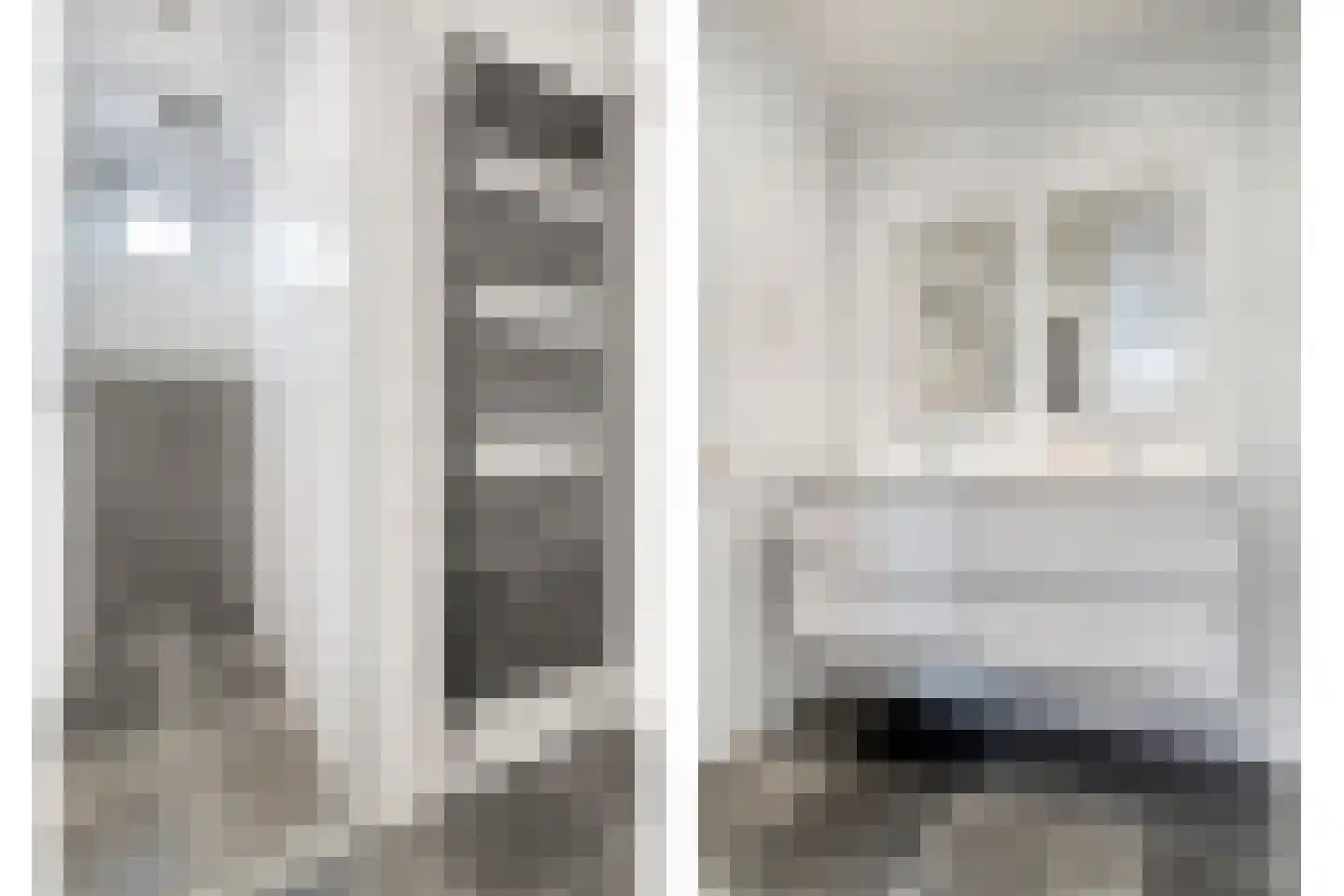 De Esch 39 Gramsbergen thumbnail 26