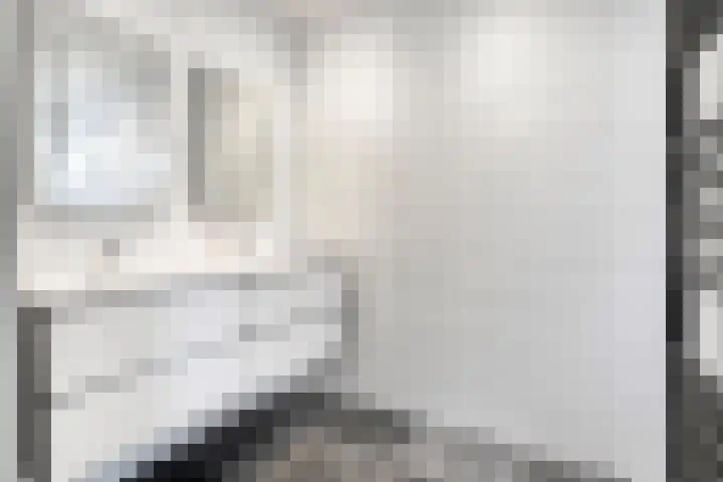 De Esch 39 Gramsbergen thumbnail 27