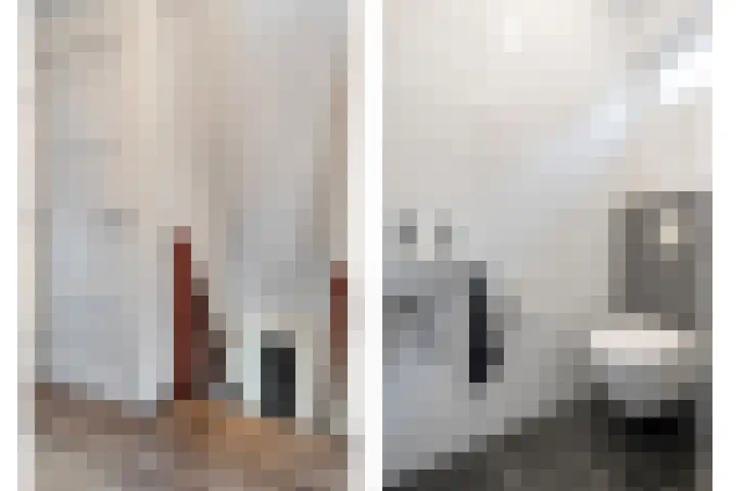 De Esch 39 Gramsbergen thumbnail 28