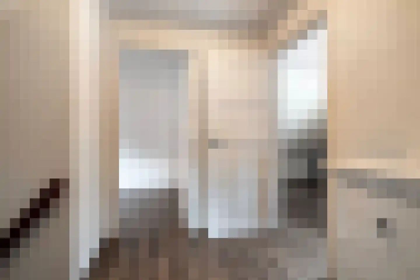 De Esch 39 Gramsbergen thumbnail 29