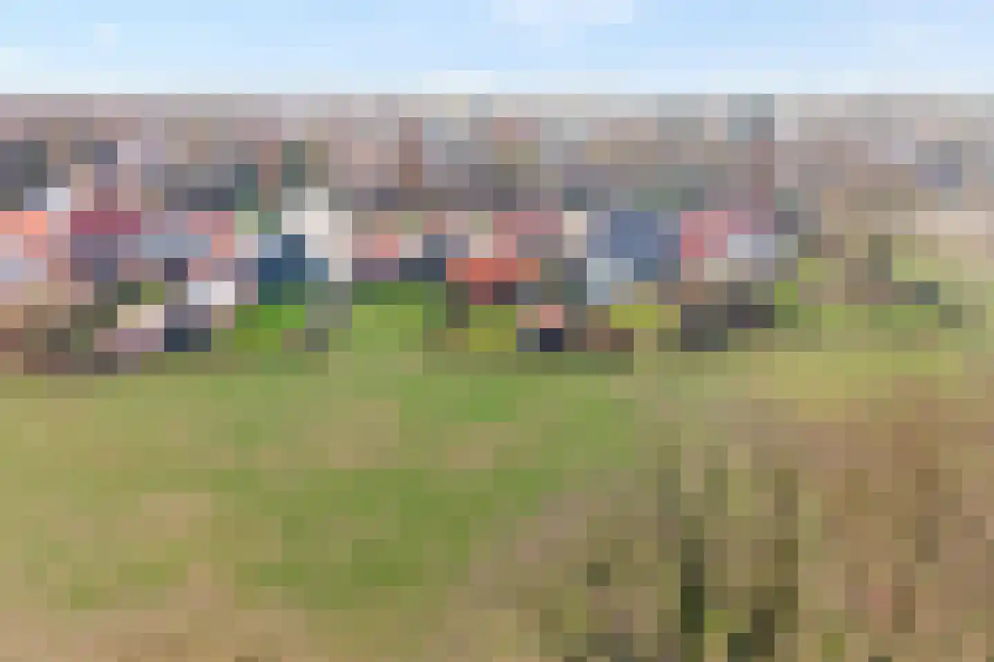 De Esch 39 Gramsbergen foto 3