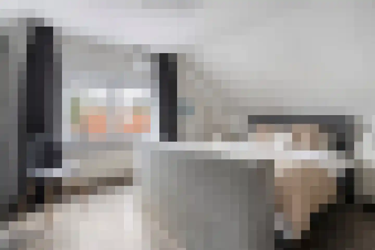 De Esch 39 Gramsbergen thumbnail 31