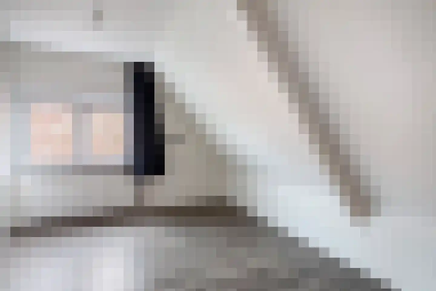 De Esch 39 Gramsbergen thumbnail 33