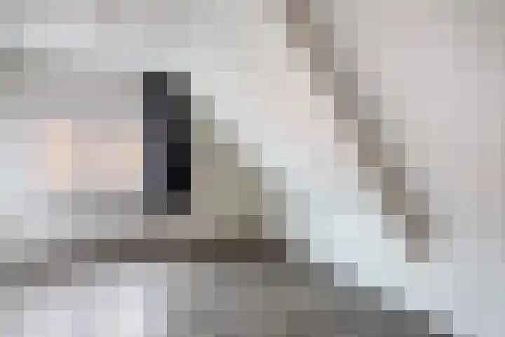De Esch 39 Gramsbergen thumbnail 33