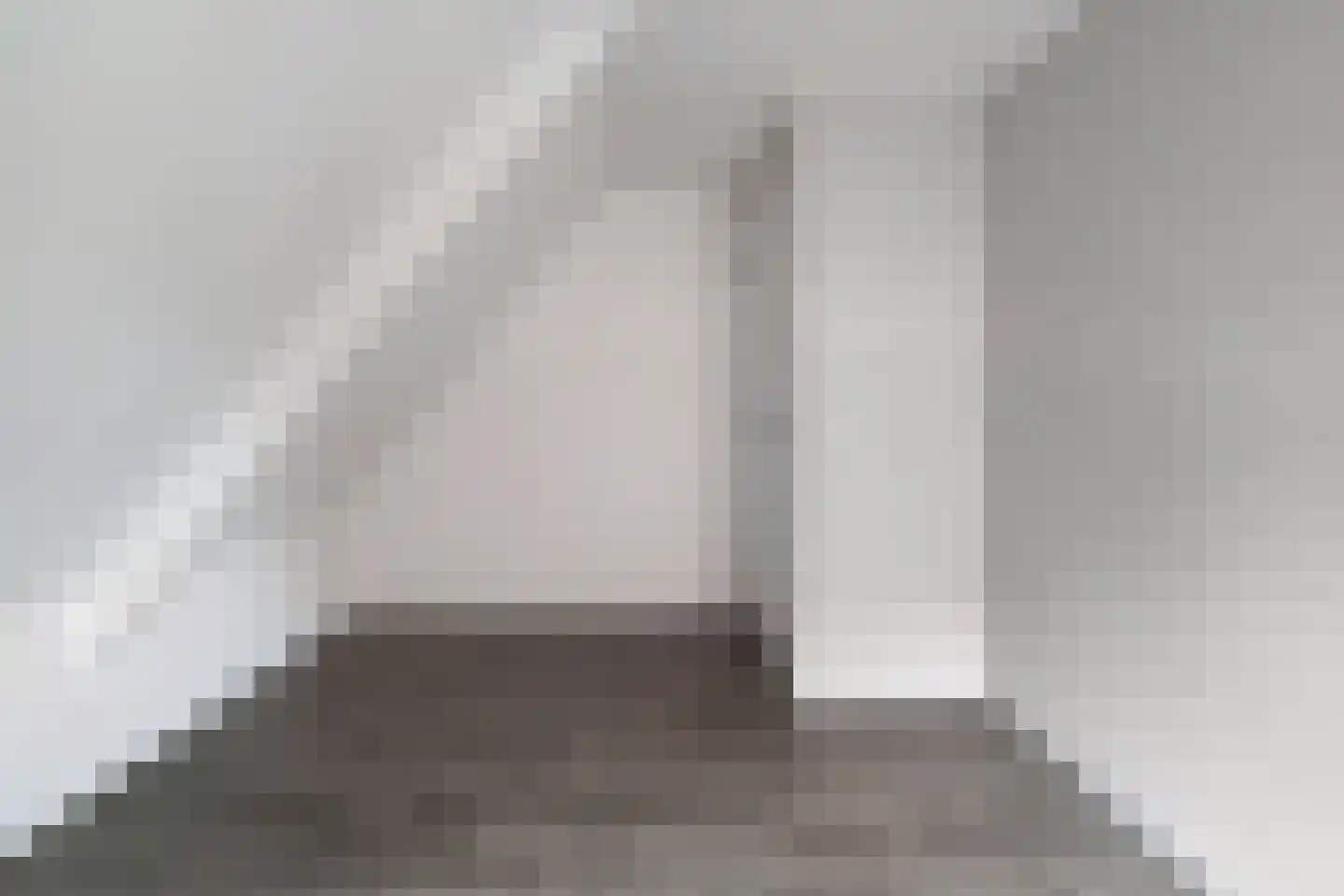 De Esch 39 Gramsbergen thumbnail 34