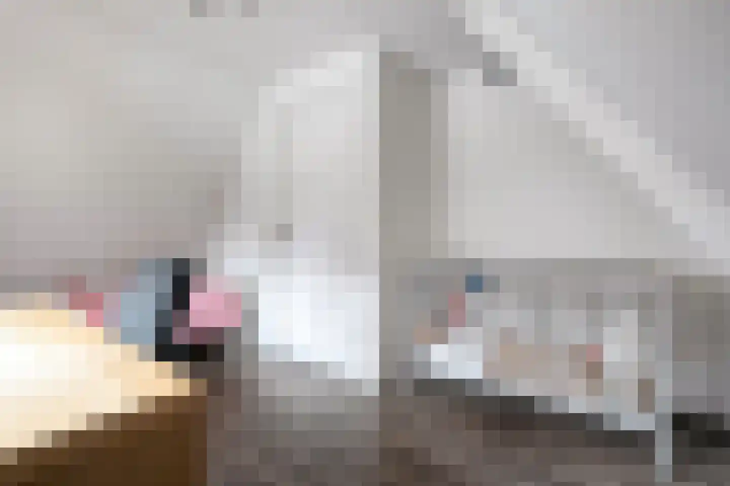 De Esch 39 Gramsbergen thumbnail 35