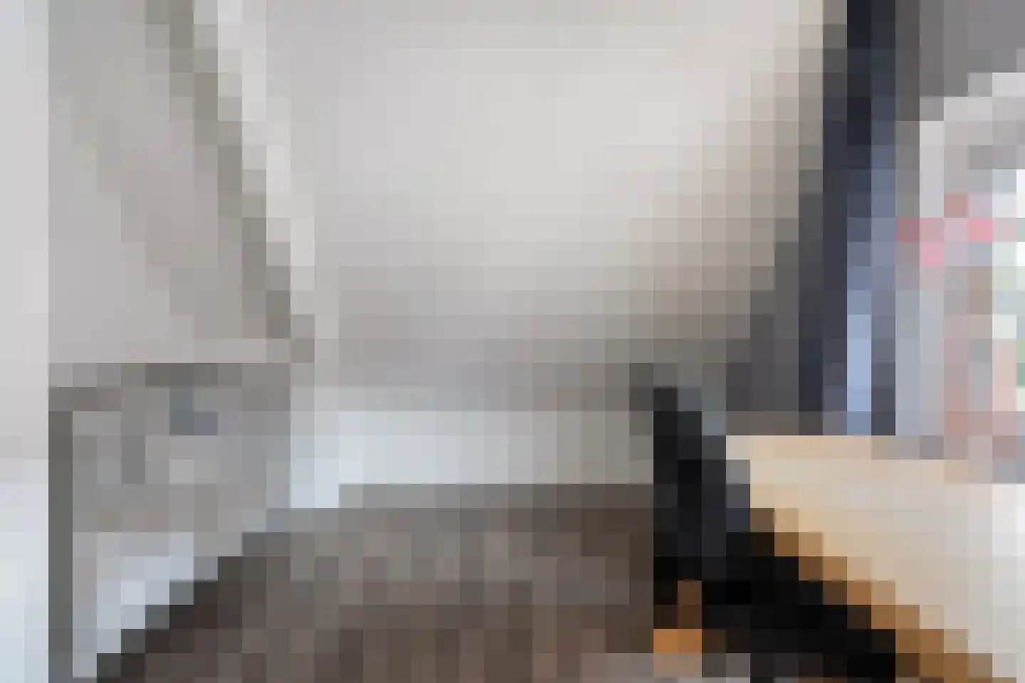 De Esch 39 Gramsbergen thumbnail 36