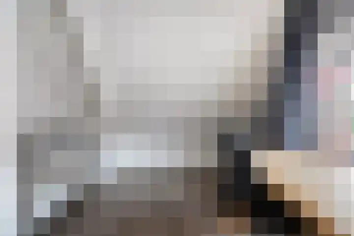 De Esch 39 Gramsbergen thumbnail 36