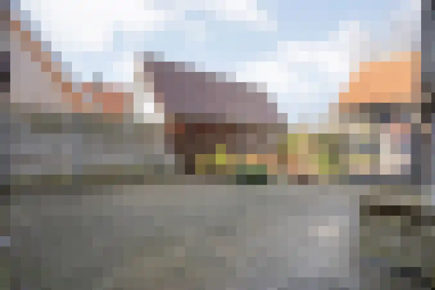 De Esch 39 Gramsbergen thumbnail 37