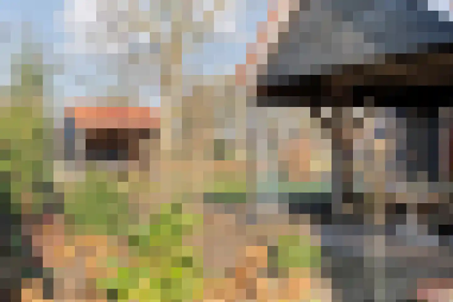 De Esch 39 Gramsbergen thumbnail 39