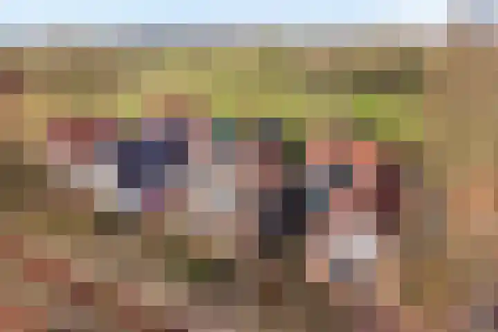 De Esch 39 Gramsbergen thumbnail 4