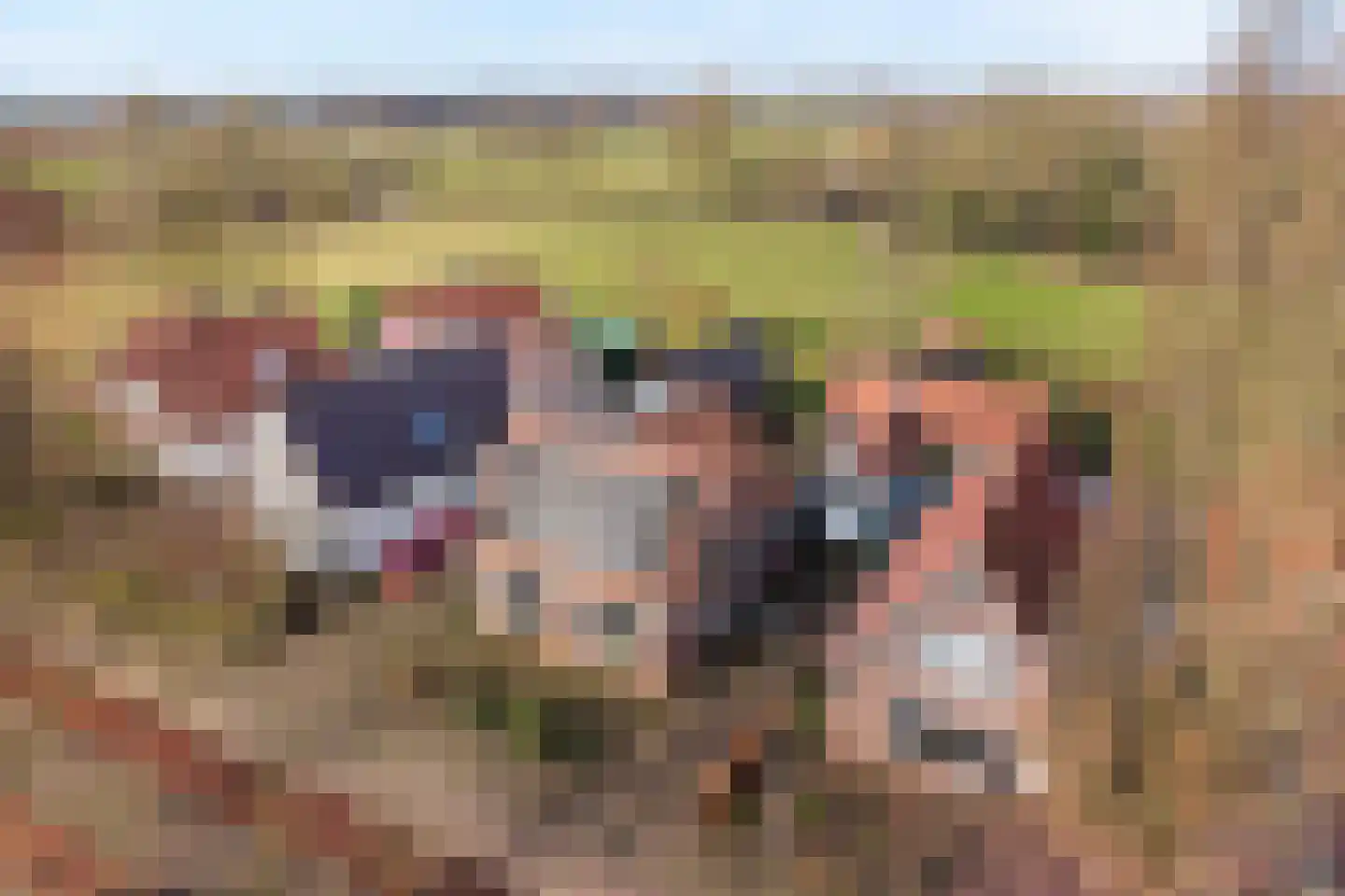 De Esch 39 Gramsbergen thumbnail 4