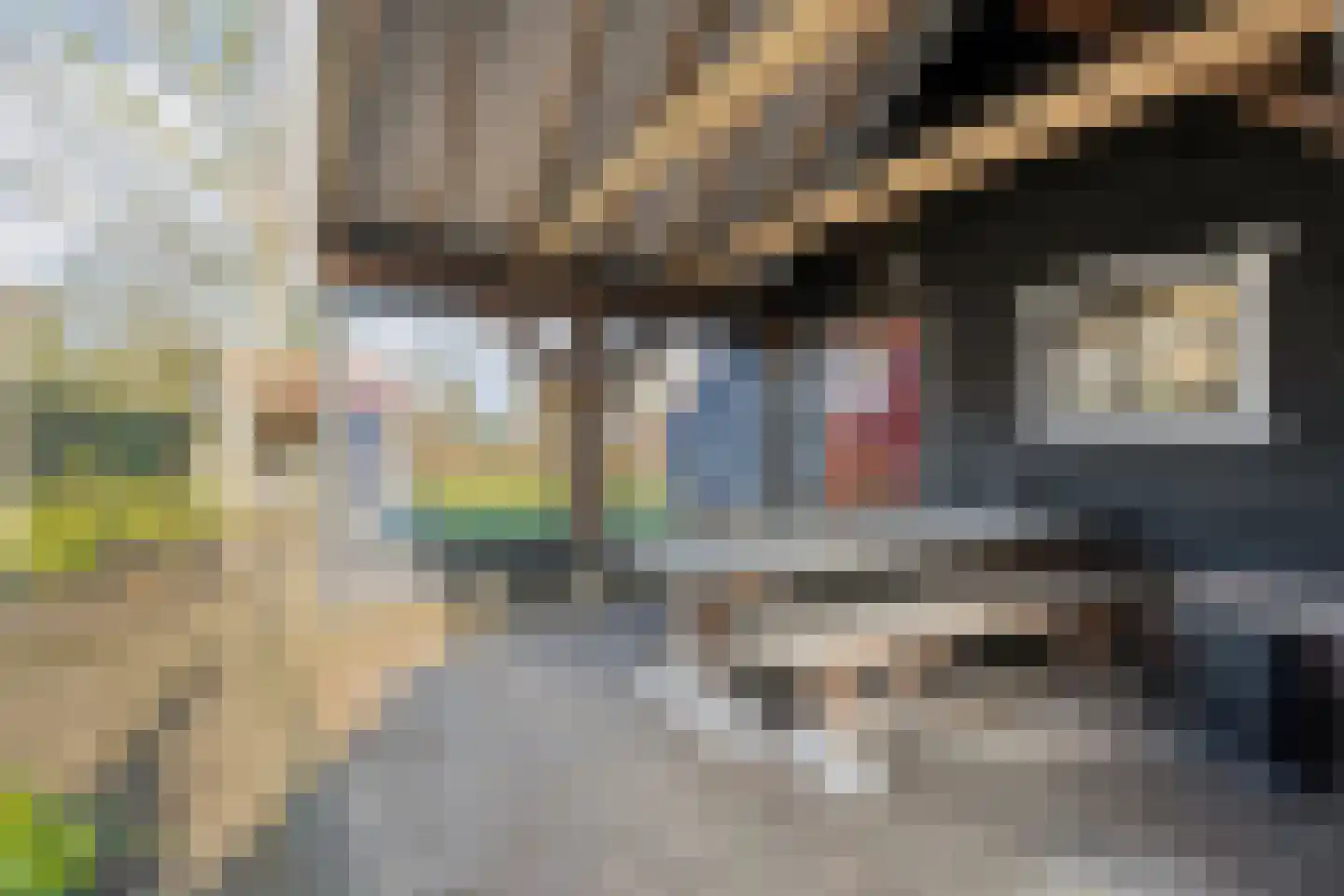 De Esch 39 Gramsbergen thumbnail 40
