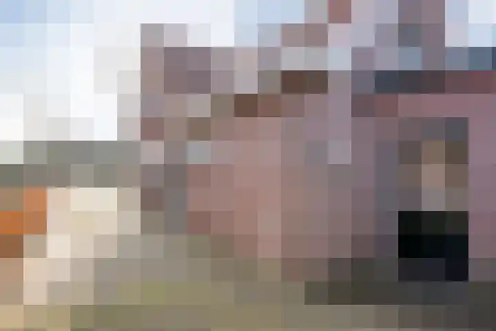De Esch 39 Gramsbergen thumbnail 43
