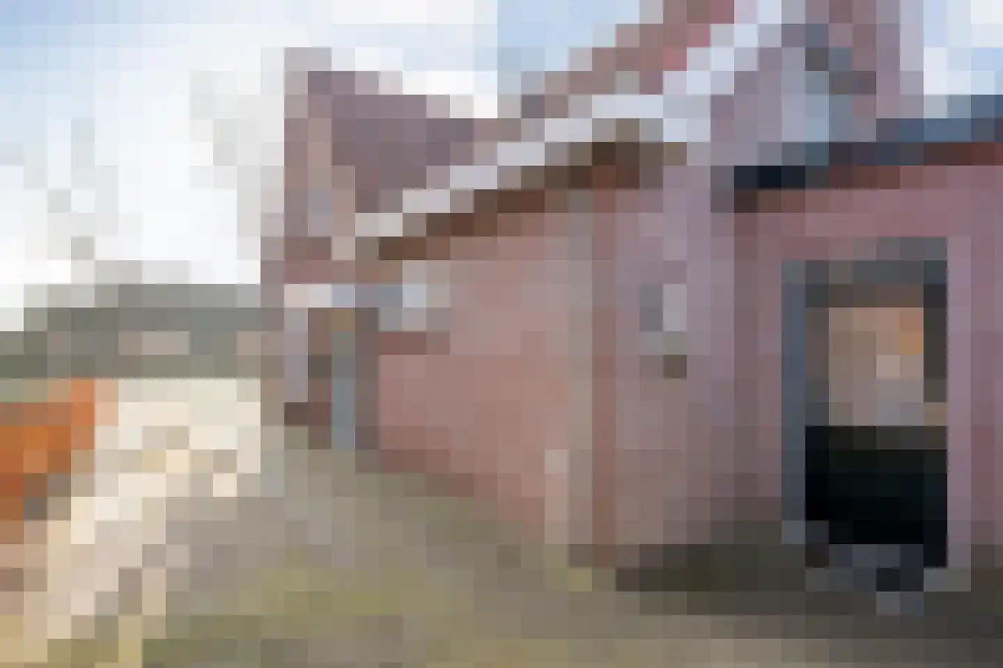 De Esch 39 Gramsbergen thumbnail 43